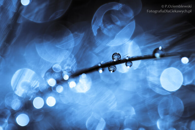 Jak uzyskać efekt bokeh na zdjęciach? – praktyczny poradnik